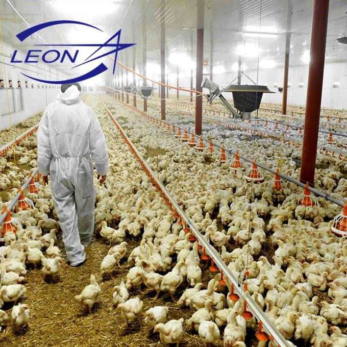 Automatic Broiler Pan Feeding System