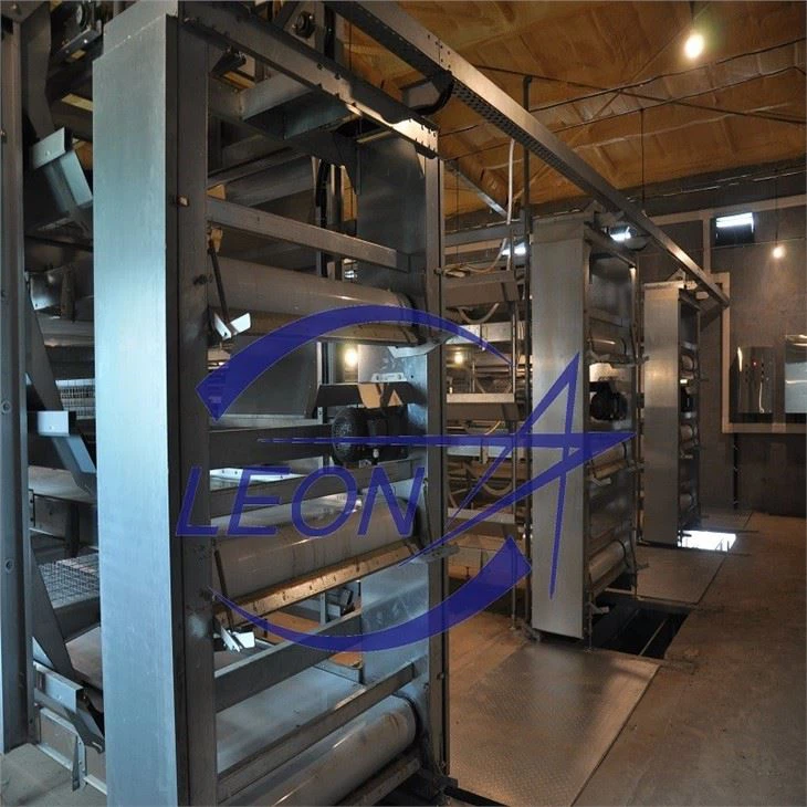 H Type Layer Chicken Cage H Type Layer Chicken Cage