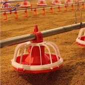 Sistema di alimentazione della padella per polli da carne completamente automatico