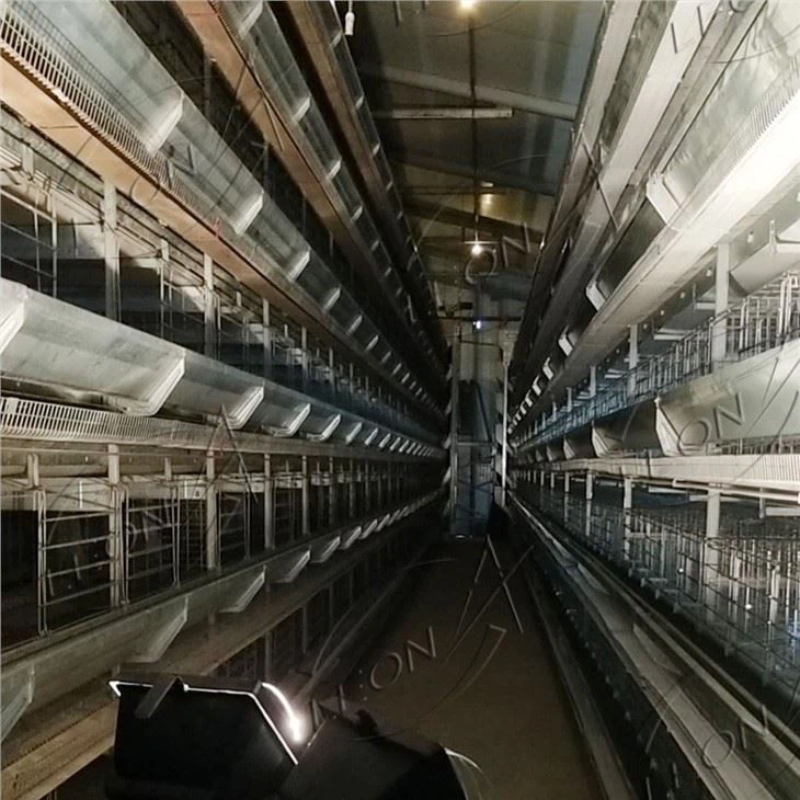 Animal Cage H-type Layer Chicken Cage