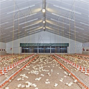 Produttori di attrezzature per pollame