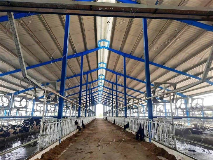 customer dairy farm (1)
