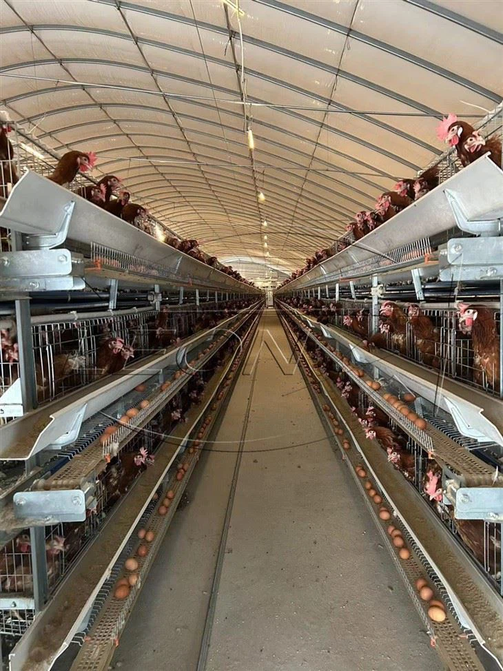 layer cage system