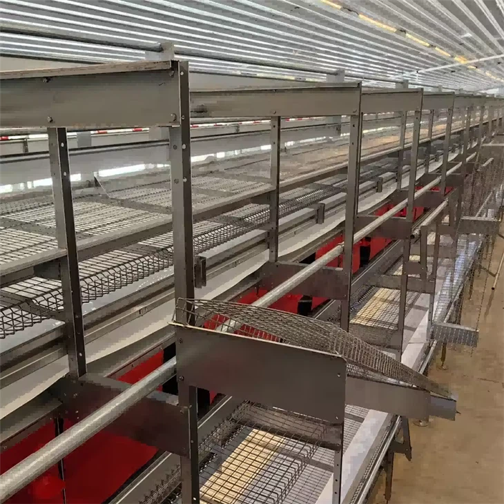 Breeding Hen Free Cage Poultry Equipment Breeding Hen Free Cage Poultry Equipment