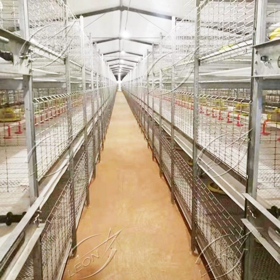 Manual Harvesting Broiler Cage System