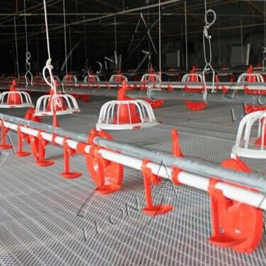 Poultry Automatic Pan Feeding System For Broilers