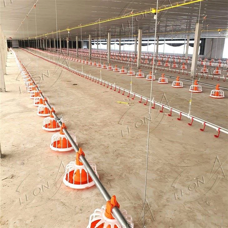 Poultry Automatic Pan Feeding System For Broilers