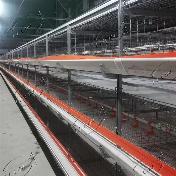 Poultry Farm H Type Broiler Chicken Cage