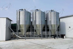 Feed Silo for Poultry Farm show 3 Feed Silo for Poultry Farm show 3